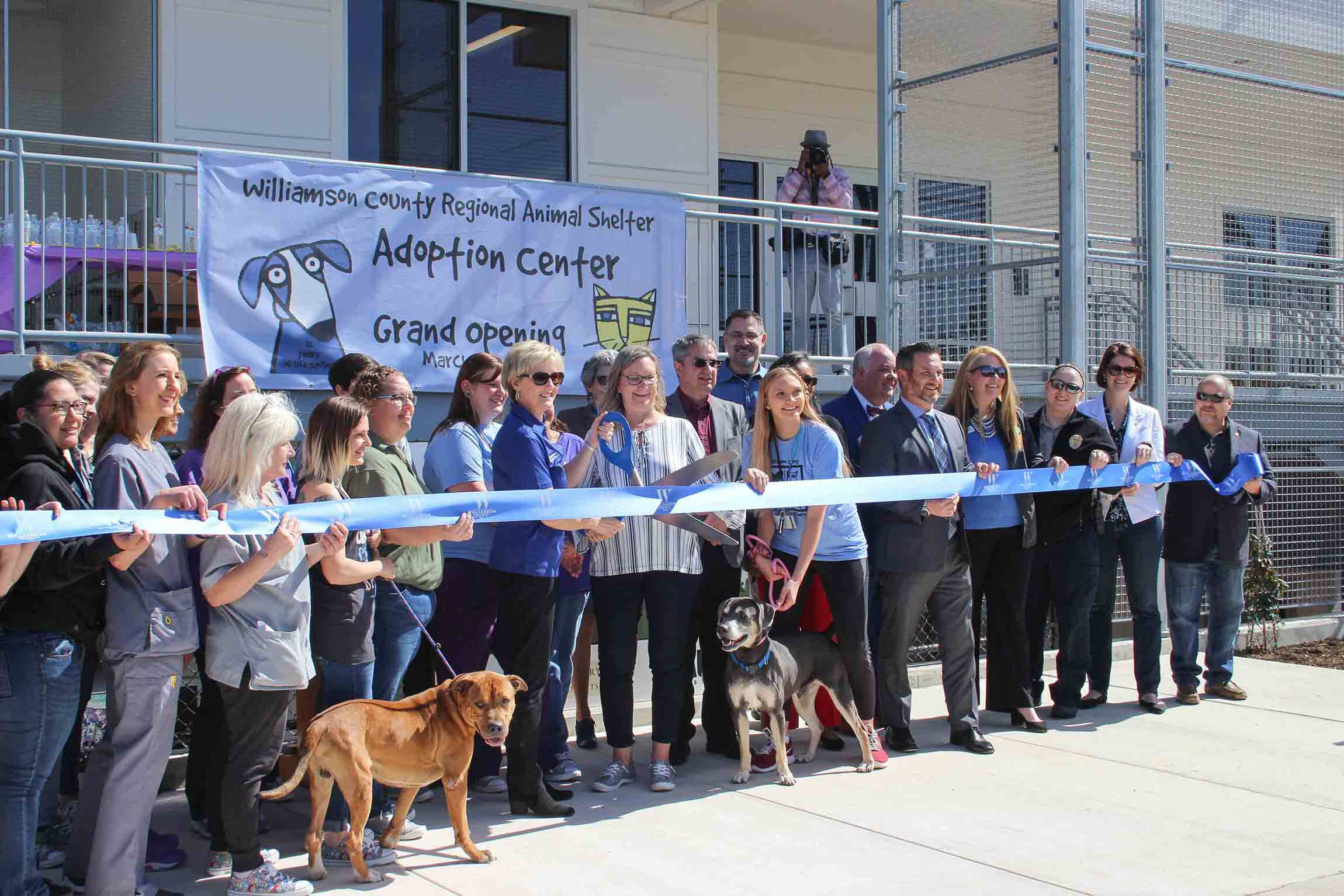 Regional store animal shelter